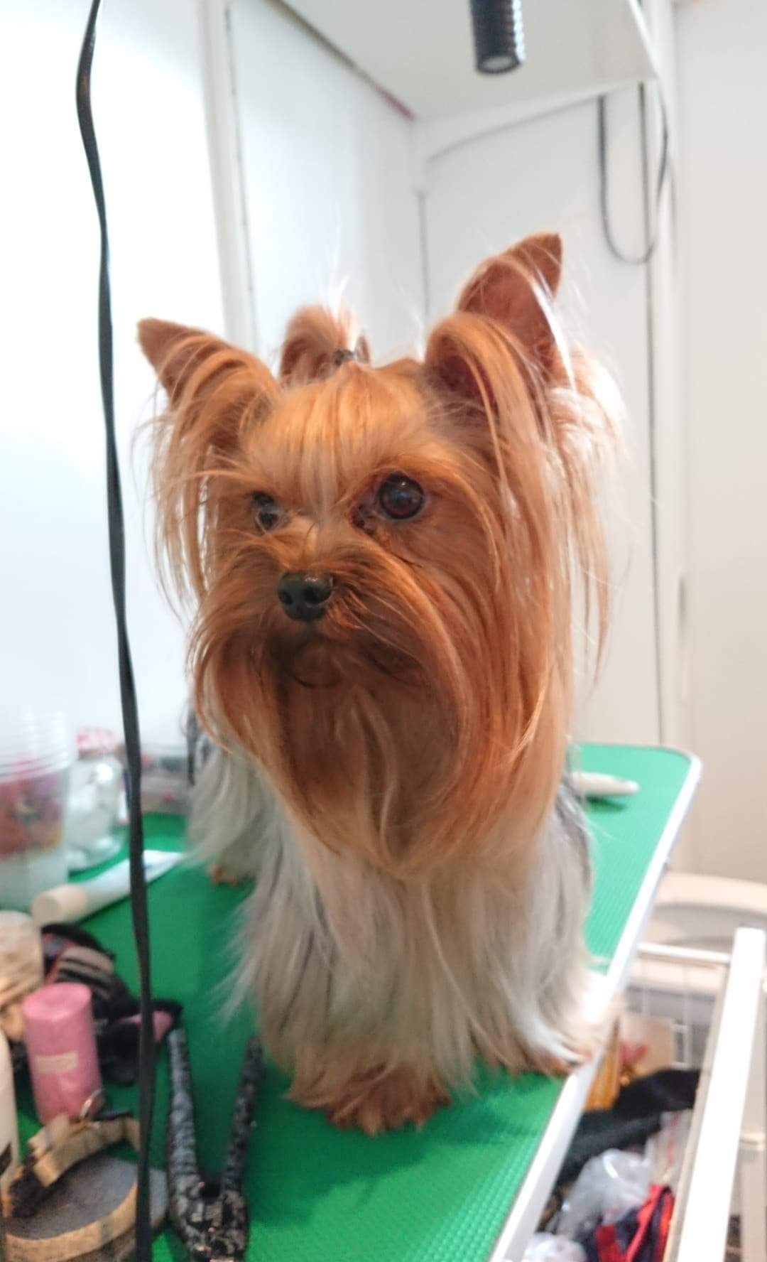 Lucy